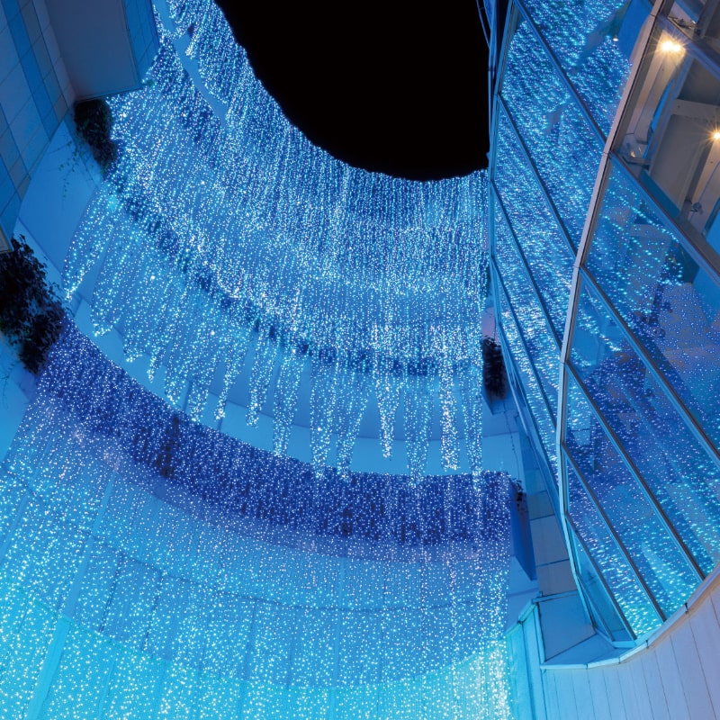 ドラマチック・ミナミ・イルミネーション 画像