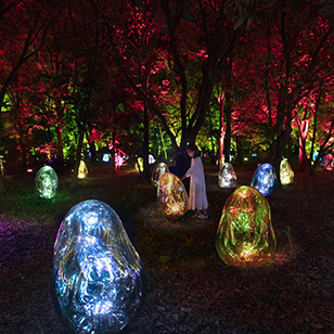 TeamLab Botanical Garden Osaka（大阪植物園）