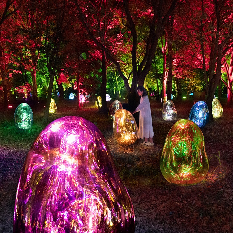 チームラボ ボタニカルガーデン 大阪 画像