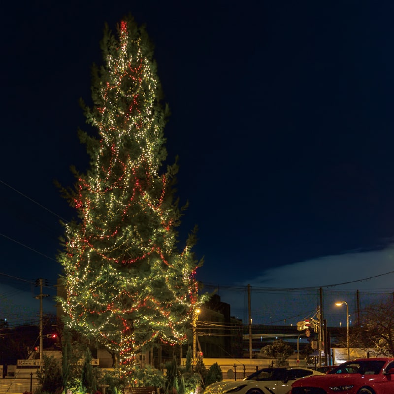 赤レンガ倉庫クラシックイルミネーション 画像