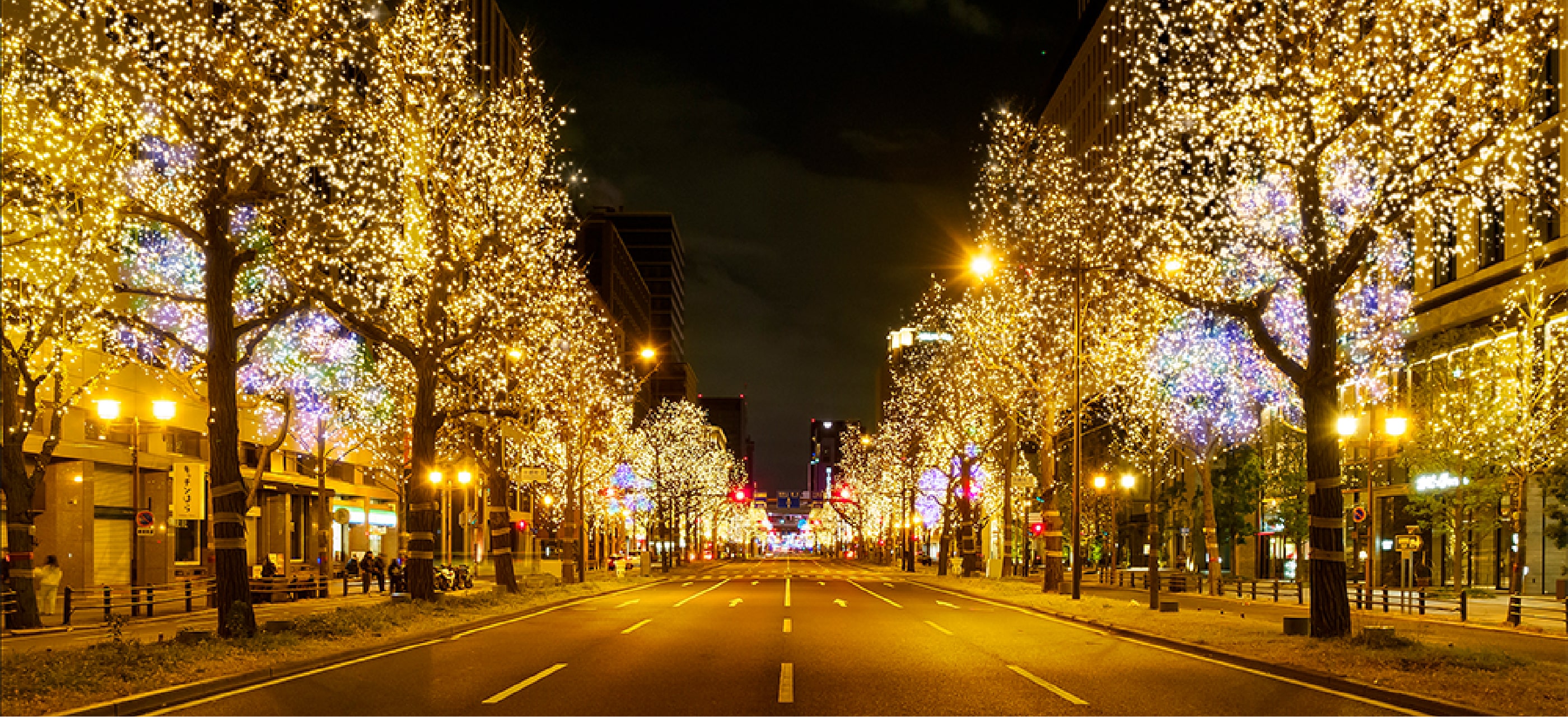 Midosuji Illumination 画像